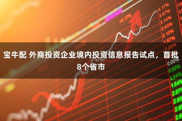 宝牛配 外商投资企业境内投资信息报告试点，首批8个省市
