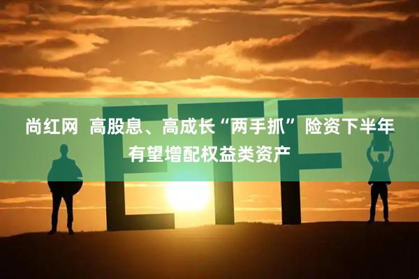 尚红网  高股息、高成长“两手抓” 险资下半年有望增配权益类资产