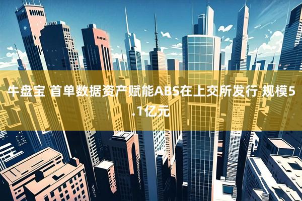 牛盘宝 首单数据资产赋能ABS在上交所发行 规模5.1亿元