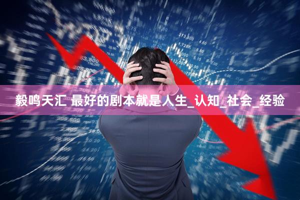 毅鸣天汇 最好的剧本就是人生_认知_社会_经验
