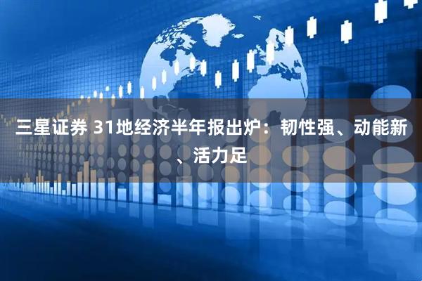 三星证券 31地经济半年报出炉：韧性强、动能新、活力足