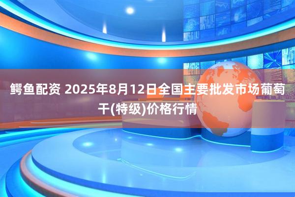 鳄鱼配资 2025年8月12日全国主要批发市场葡萄干(特级)价格行情