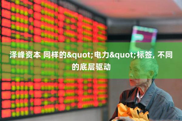 泽峰资本 同样的"电力"标签, 不同的底层驱动
